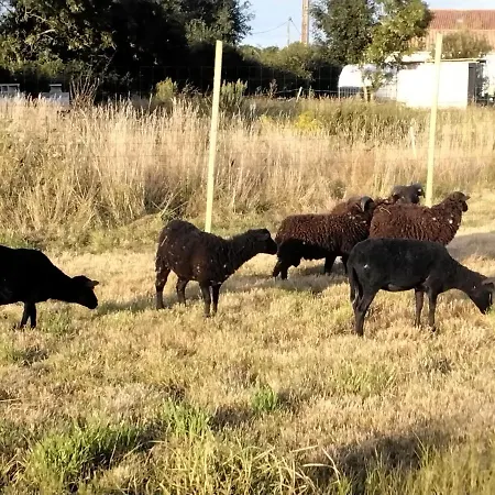 Domaine De La Lucarliere 3*