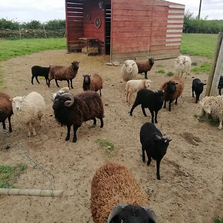 לינה וארוחת בוקר Domaine De La Lucarliere